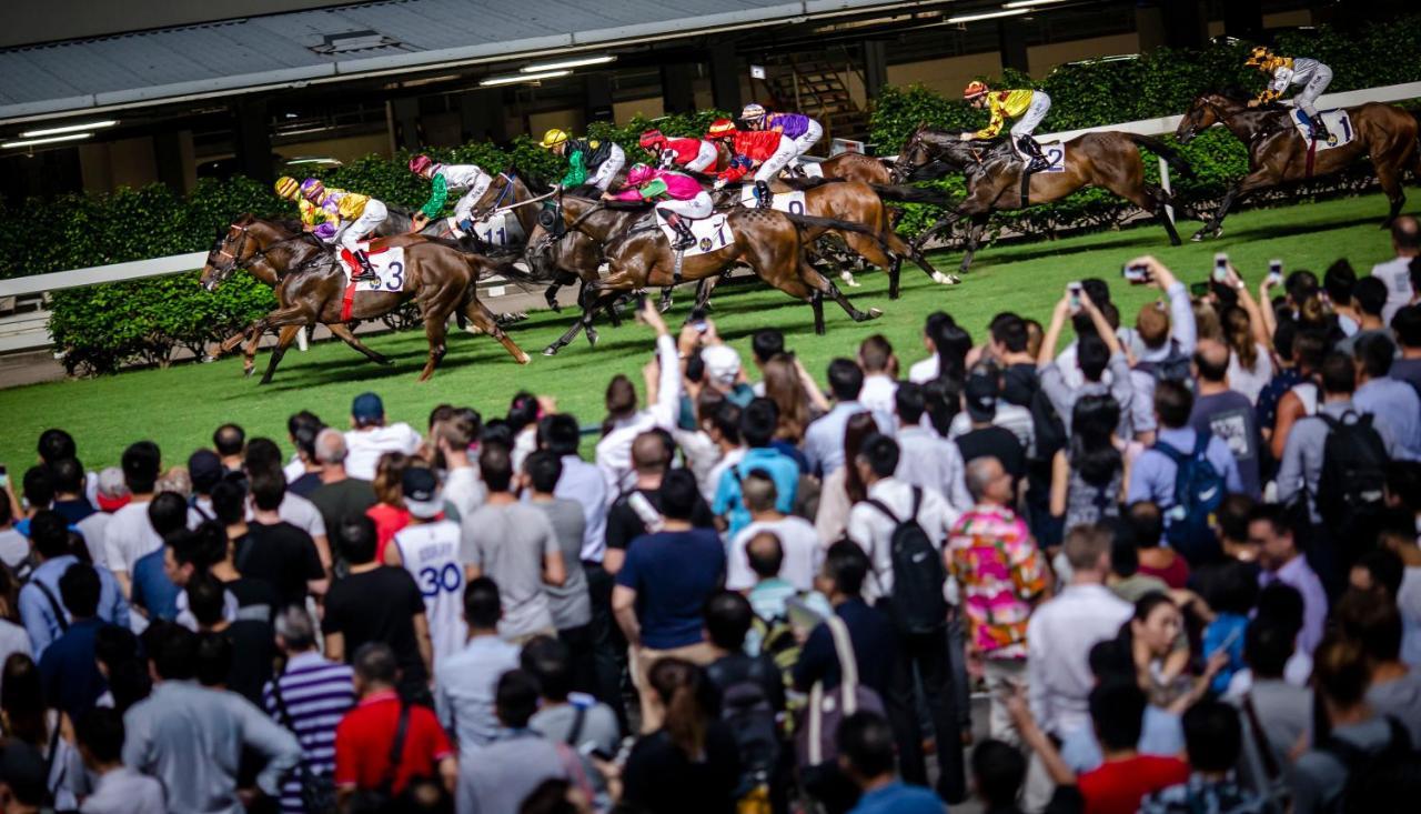 Dorsett Wanchai, Hong Kong Dış mekan fotoğraf The 2007 Hong Kong Derby